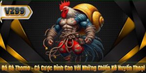 Đá Gà Thomo – Cá Cược Đỉnh Cao Với Những Chiến Kê Huyền Thoại