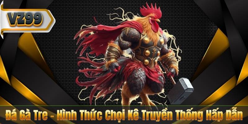 Đá Gà Tre - Hình Thức Chọi Kê Truyền Thống Hấp Dẫn